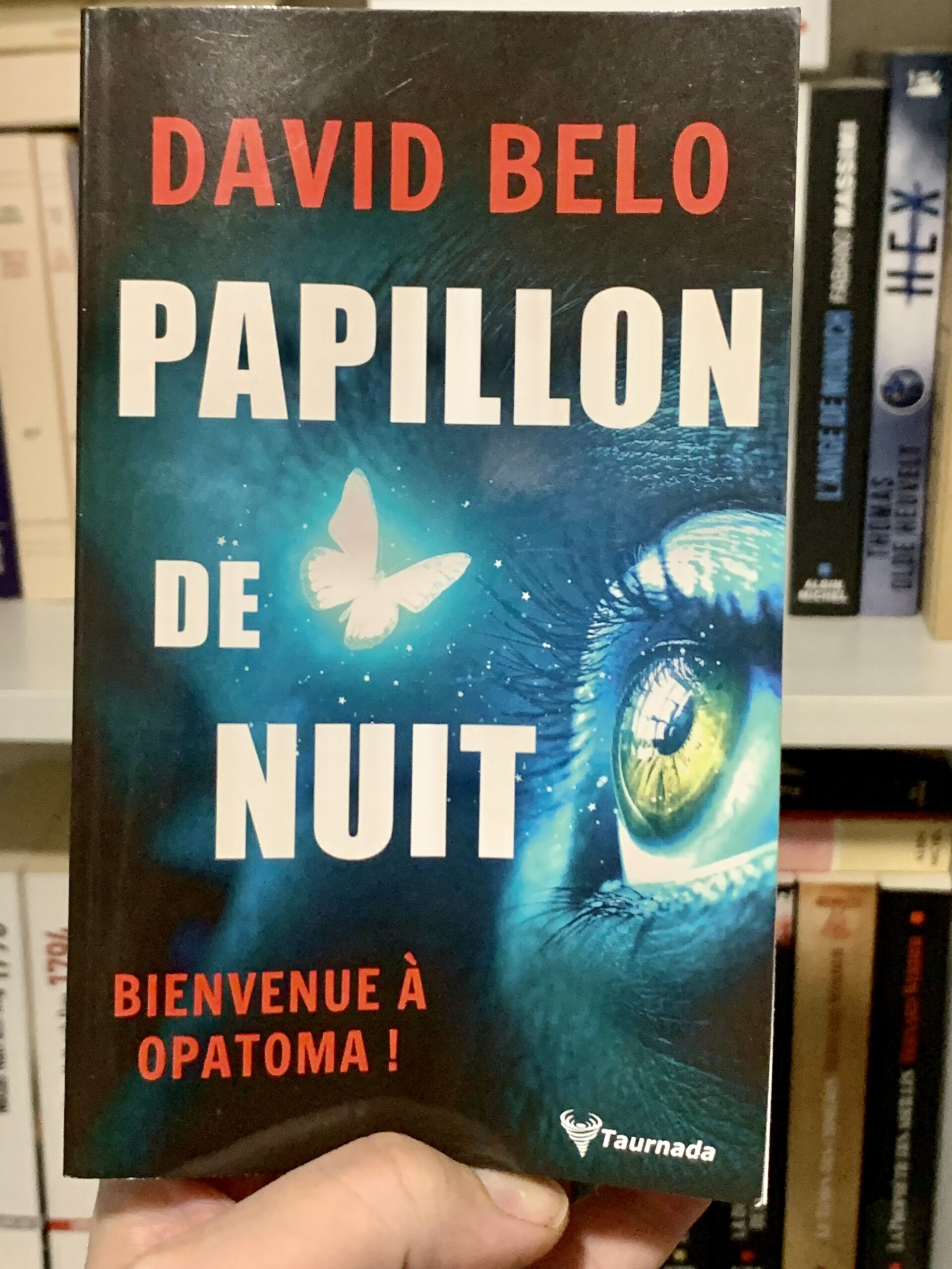 Papillon de Nuit